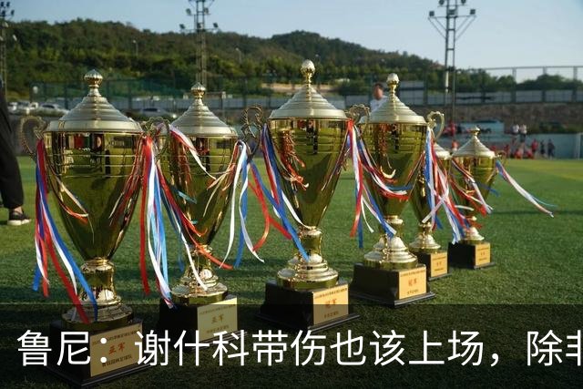鲁尼：谢什科带伤也该上场，除非身体上真的踢不了
